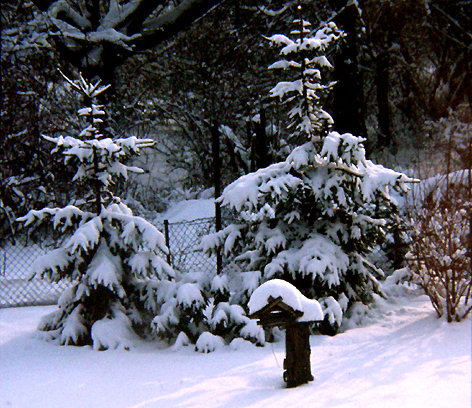 10_garten_winter91.jpg