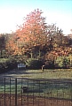 09_Herbst-02.jpg