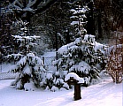 10_garten_winter91.jpg