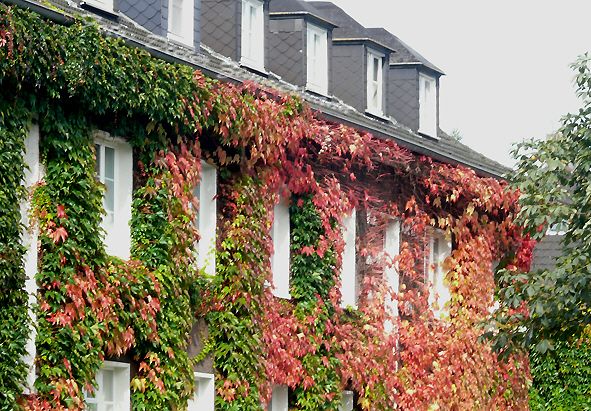 104_haus_sommerburgstr_endstelle01c.jpg