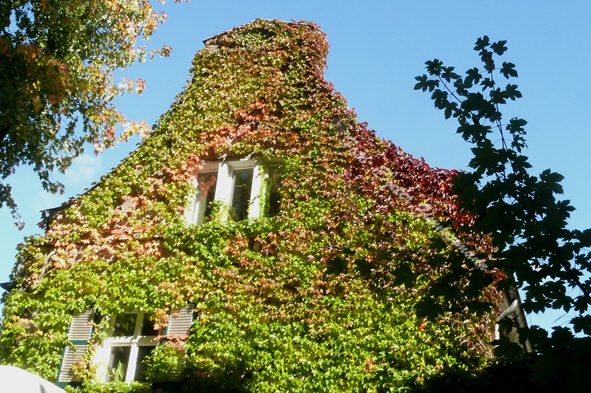 74_giebelhaus04.jpg