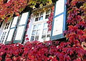 63_herbstfenster01.jpg