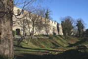 22_Stadtmauer_Ecktuerme_Sachsen_Salierring05.jpg