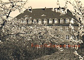 01_Koeln-Wpesch1957.jpg