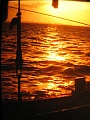 24_abendstimmung_fischkutter.jpg