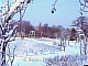 Winter-01.jpg