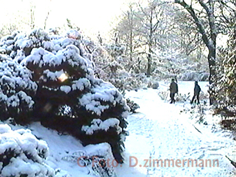 Winter-04.jpg