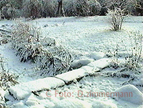 Winter-06.jpg