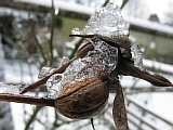 05_IMG_5937.jpg
