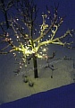 37_nachbars_garten_lichterbaum.jpg