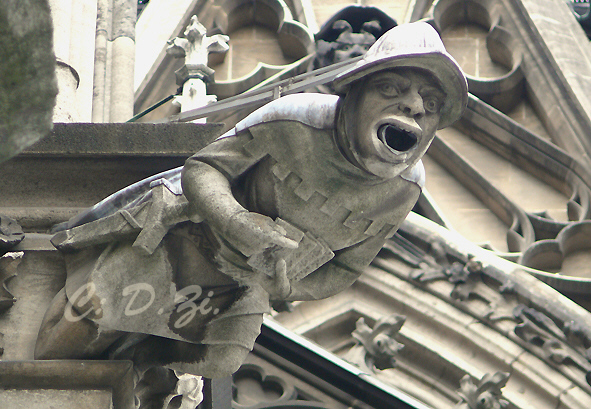 66dom_regenspeier.jpg