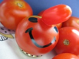 30_tomaten_ernte.jpg