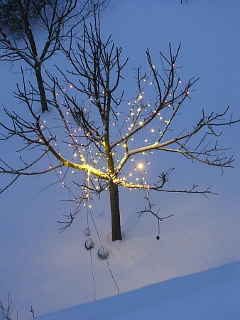 lichterbaum_im_schnee01.jpg