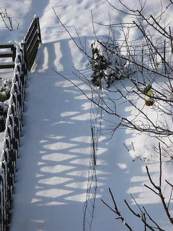 schneezaun00.jpg