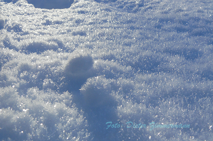 16schneeglitzerns.jpg