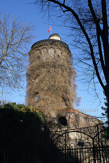 13Ruine_Seitenstr_Ubiering01.jpg