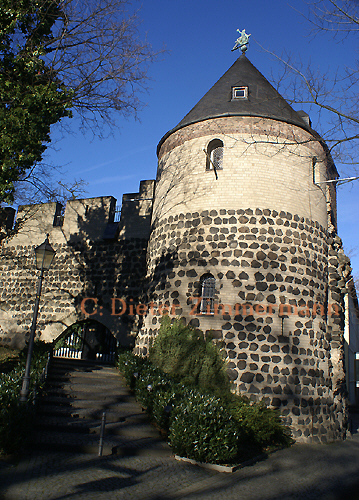 43Stadtmauer_Ecktuerme_Sachsen_Salierring02.jpg