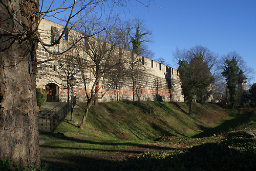 46Stadtmauer_Ecktuerme_Sachsen_Salierring05.jpg